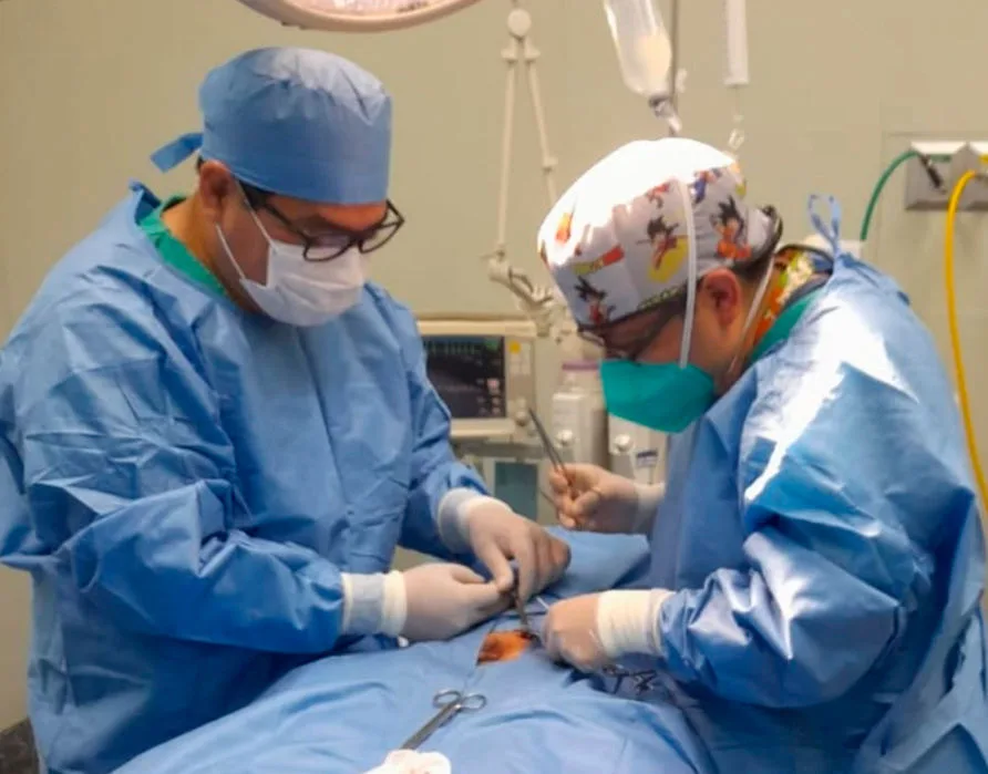 Actividad profesional del Dr. Juan Corral